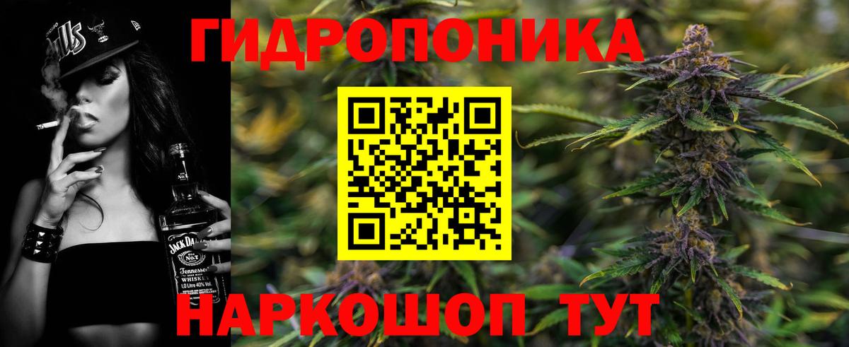 Бошки марихуана план  Бошки марихуана SATIVA & INDICA  Шишки марихуана планчик  Вход с VPN  Бошки марихуана OG Kush  Лесозаводск 